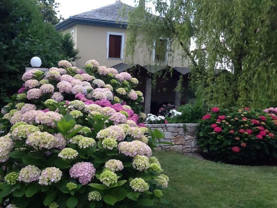 Giordani Guesthouse ซาการาดา ภายนอก รูปภาพ